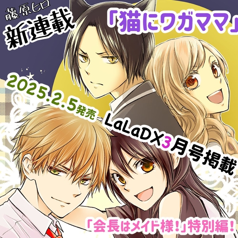 新連載＆メイド様！特別編のお知らせ - まんがと猫と京都のくらし