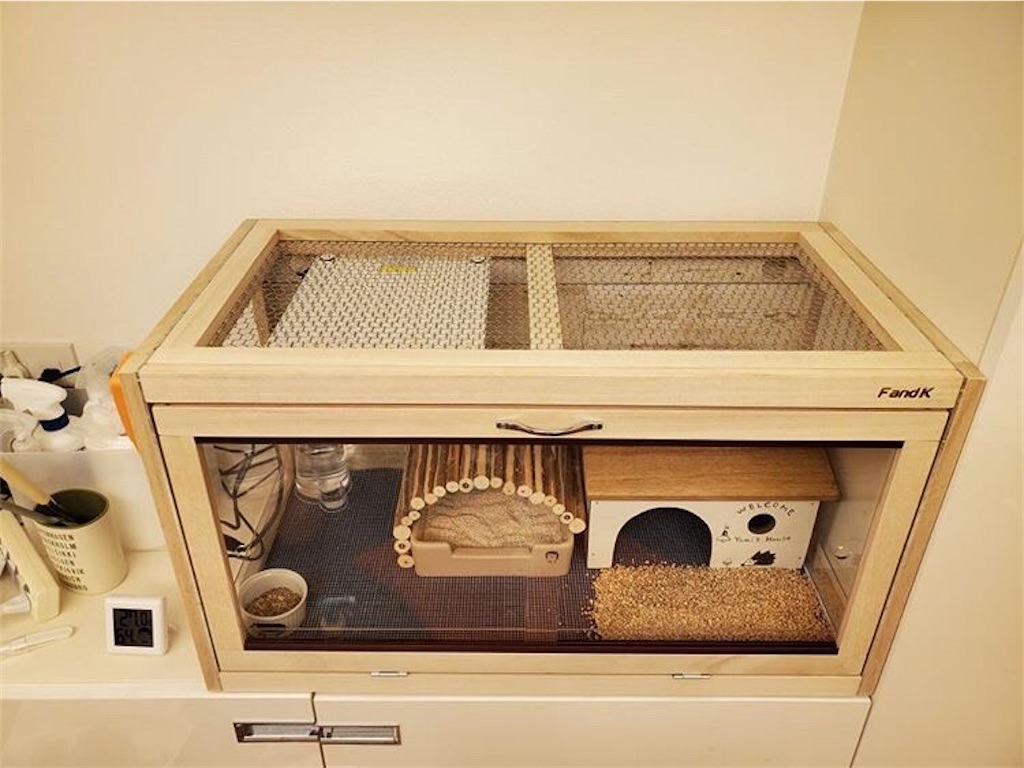 ハリネズミケージご紹介 - F and K 爬虫類・小動物木製ケージ