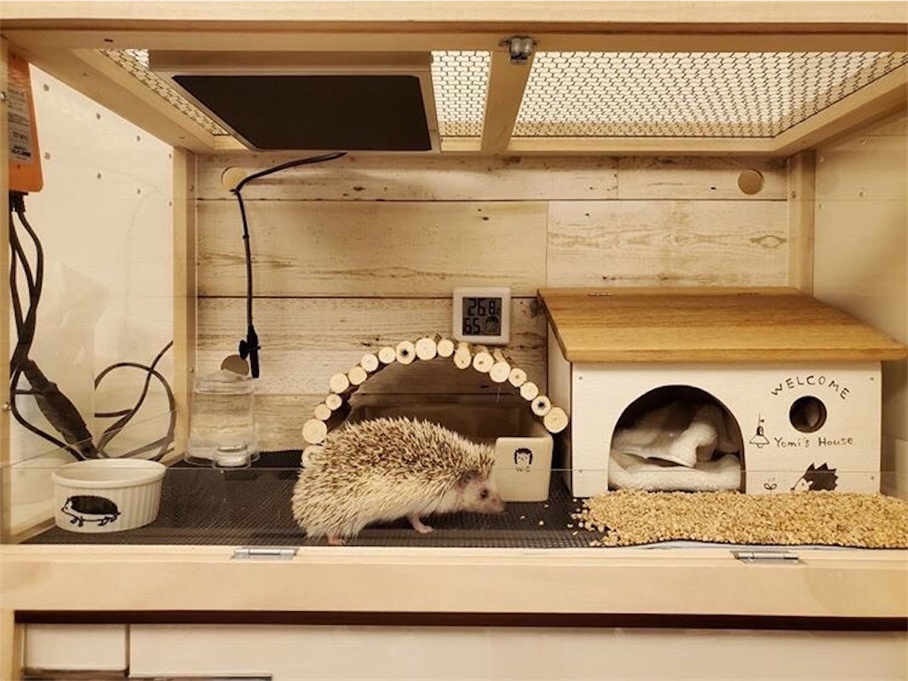 ハリネズミケージご紹介 - F and K 爬虫類・小動物木製ケージ