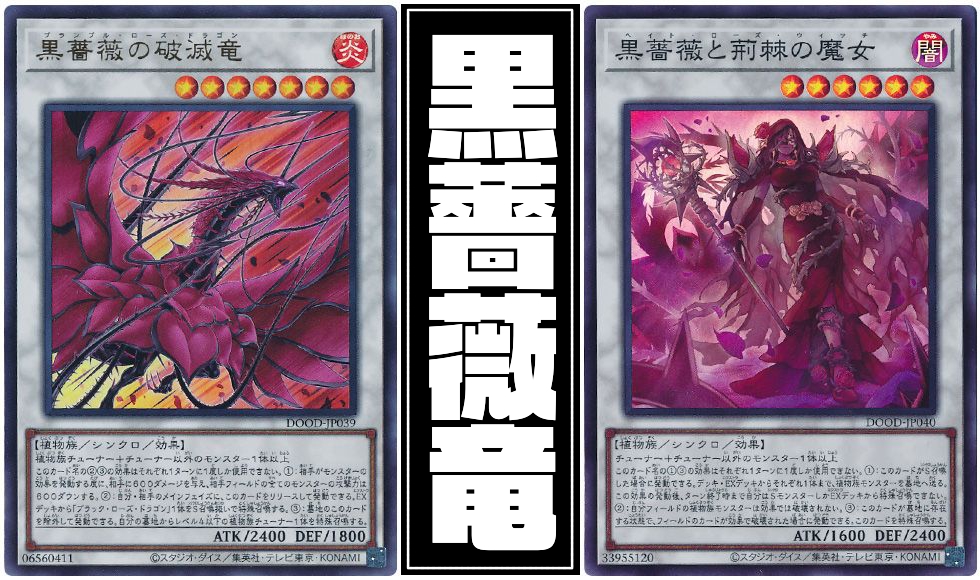 黒薔薇の破滅竜】 - ギルド屋さん