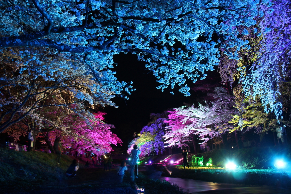 SP製作✨️桜咲く、金閣寺、ジオラマ ✨️LEDライト、ケース付❗️製作