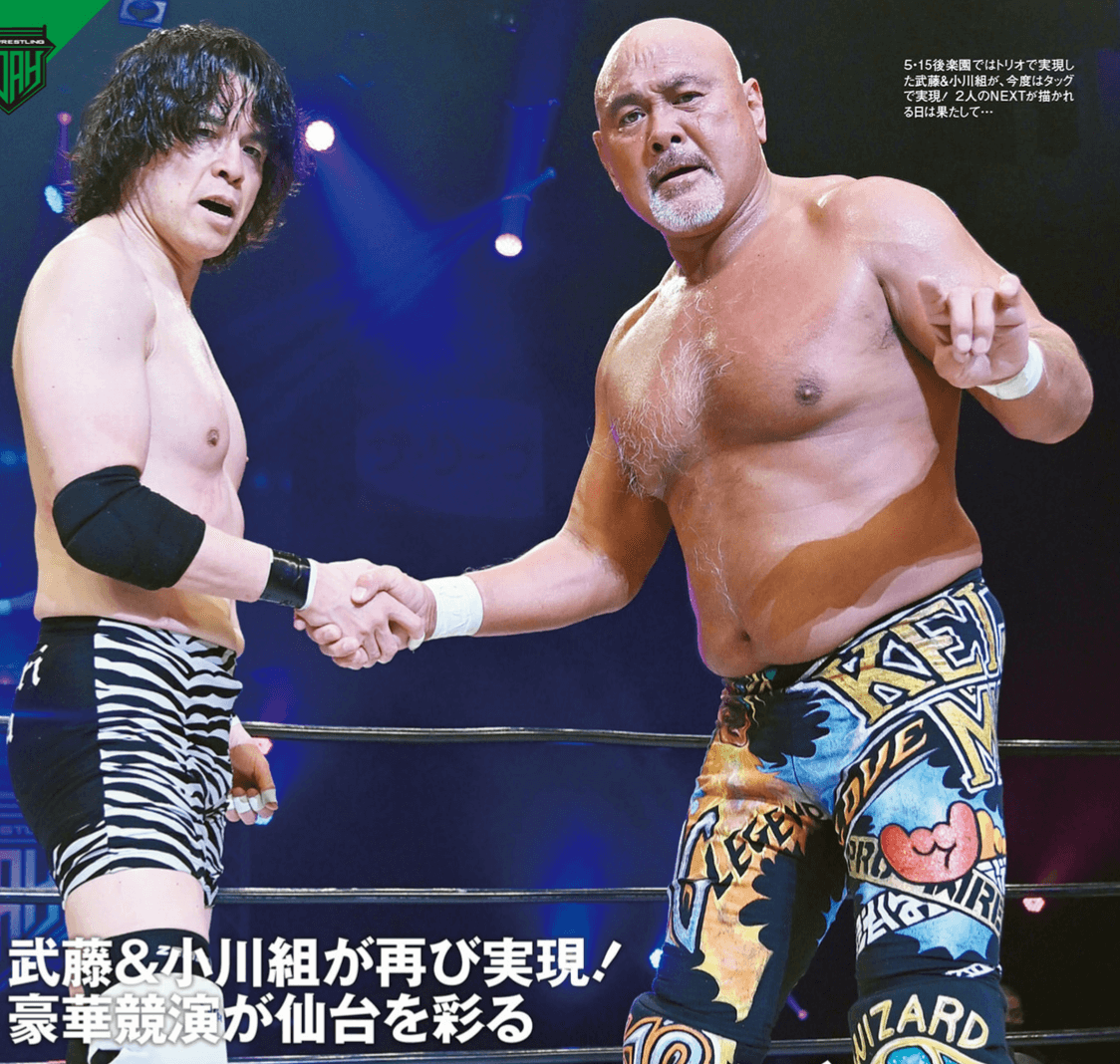 NOAHソフビ三沢光晴武藤敬司小橋建太キャラプロ新日本プロレス全日本モグラ