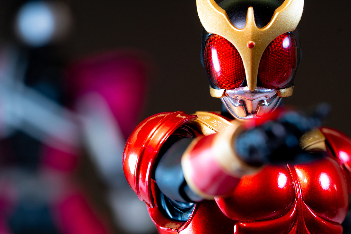 S.H.Figuarts 真骨彫製法 仮面ライダークウガ 仮面ライダーディケイド
