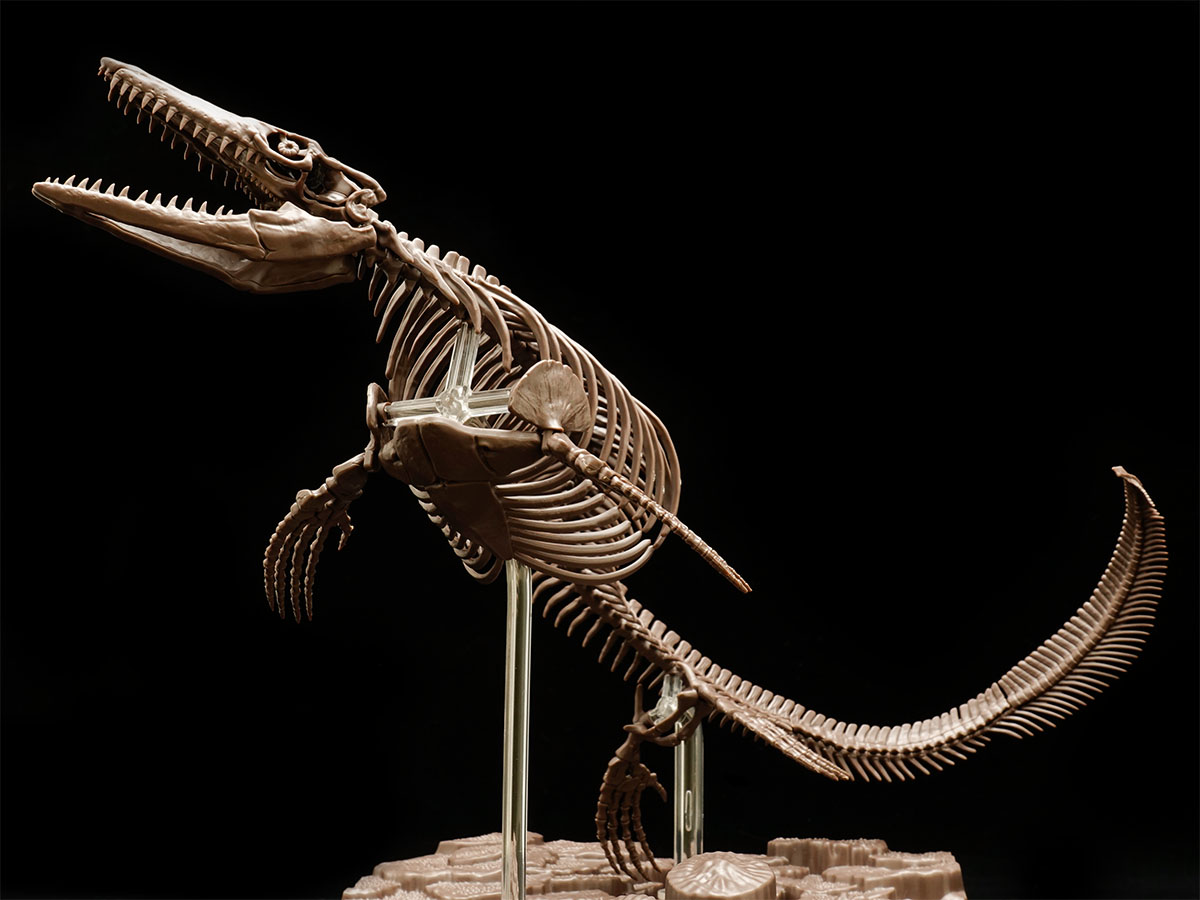 よみがえる海生爬虫類「1/32 Imaginary Skeleton モササウルス」のご