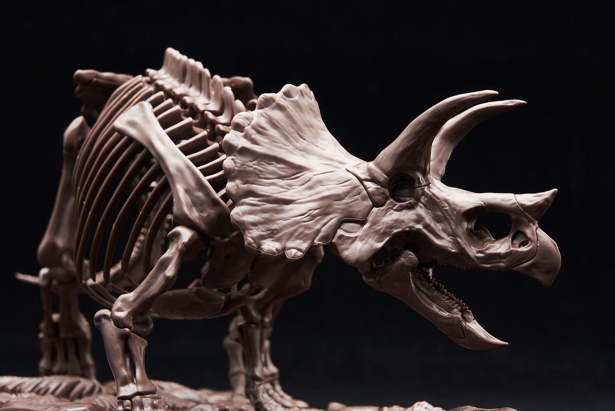 重厚な植物食恐竜！「1/32 Imaginary Skeleton トリケラトプス」のご