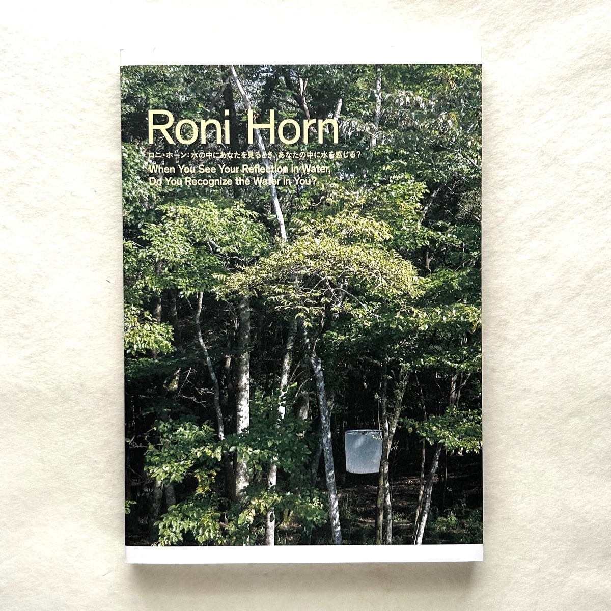 水の中にあなたを見るとき、あなたの中に水を感じる? / ロニ・ホーン