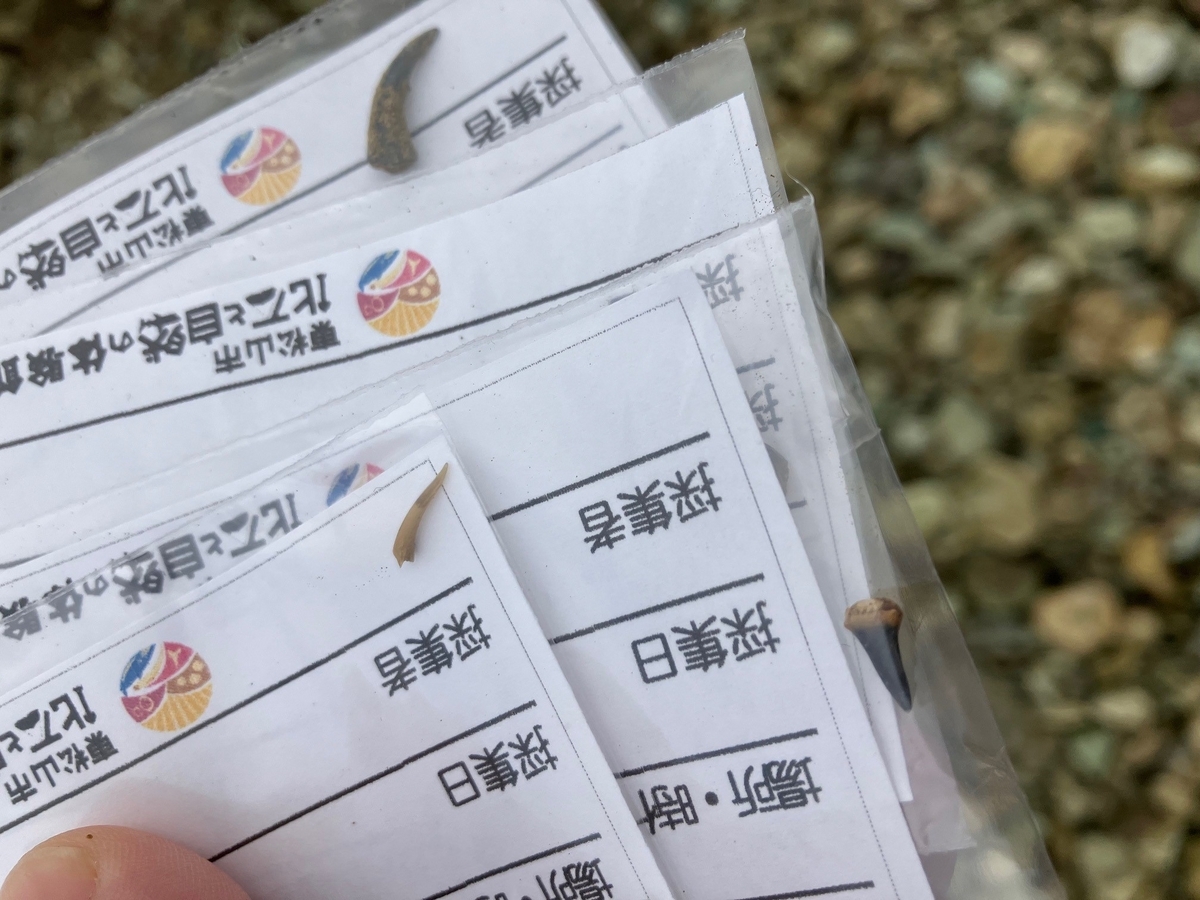 虫とる子の最高レベル特訓算数 (駿台浜学園 小5) - 虫とる子の中学受験