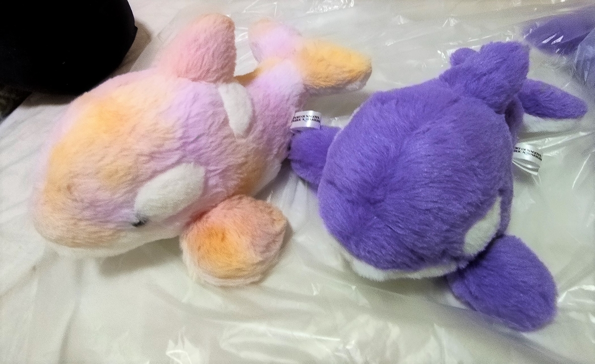 名古屋港水族館 シャチ ぬいぐるみくじ - ぬいぐるみくじ発見紀