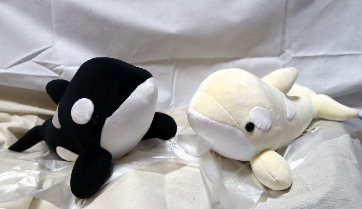 名古屋港水族館 シャチ ぬいぐるみくじ - ぬいぐるみくじ発見紀