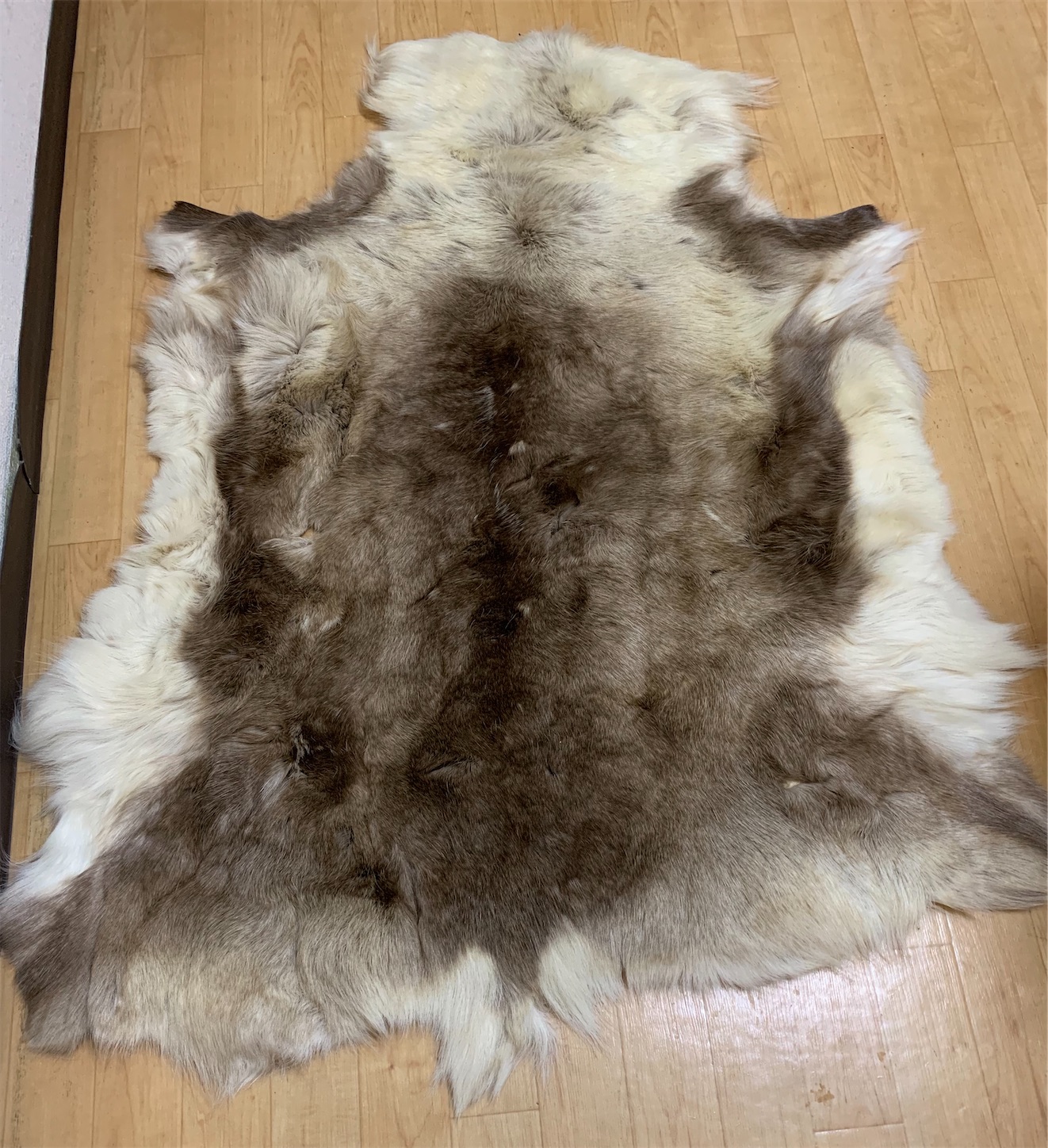 トナカイの毛皮の敷物 −15度でも大丈夫！（らしい😁）話し〜 - 多趣味