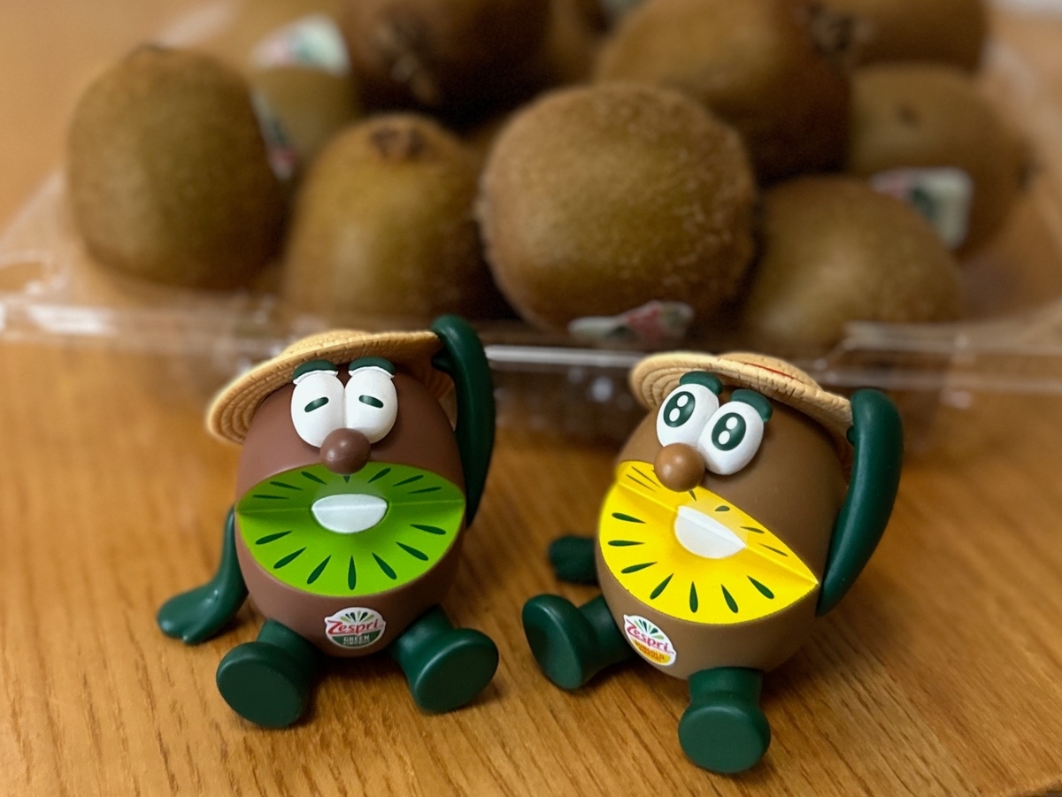 キウイ様2点 キウイ様2点 2種のキウイの酸味と甘さでスッキリ飲み