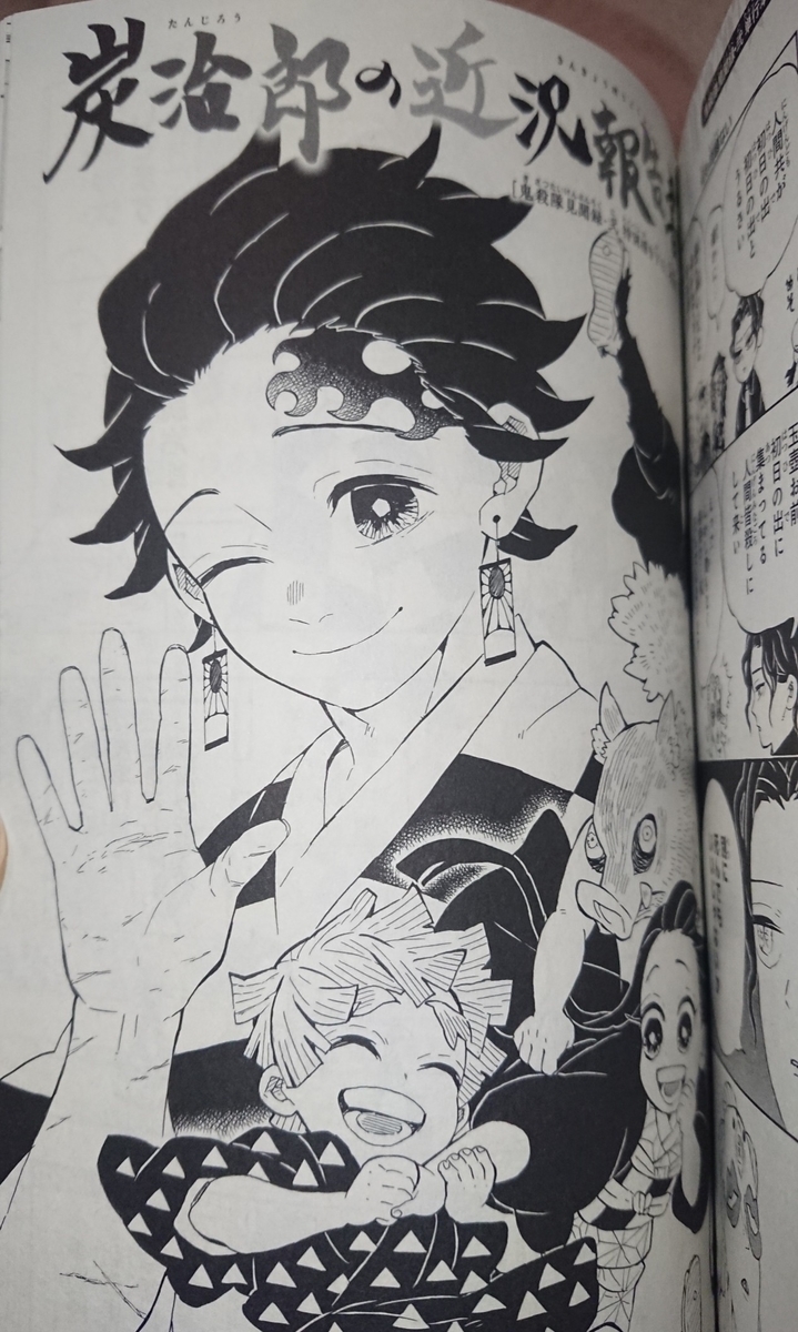 鬼滅の刃 吾峠呼世晴画集―幾星霜―とファンブック2を読んで感想書いて