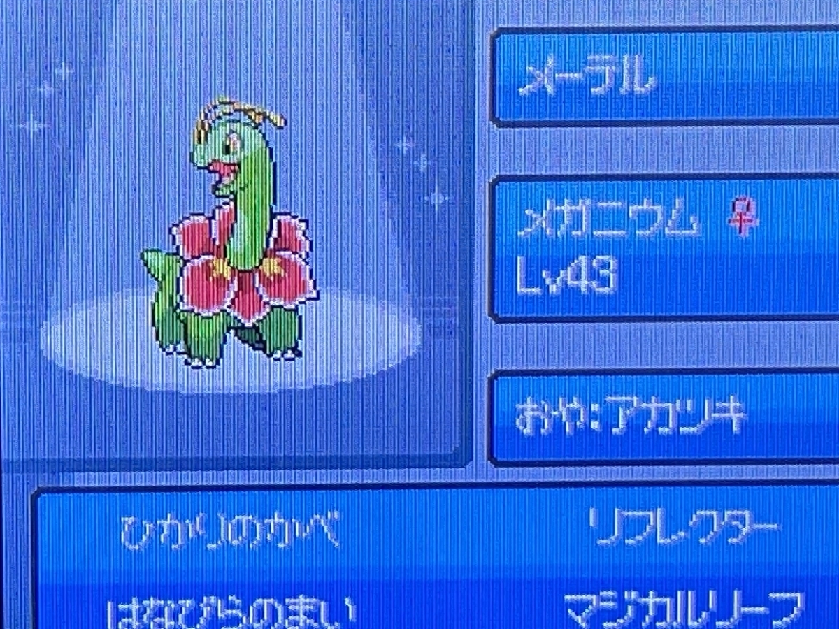 ポケットモンスター ハートゴールドの殿堂入りパーティ紹介 - ケロ君の部屋