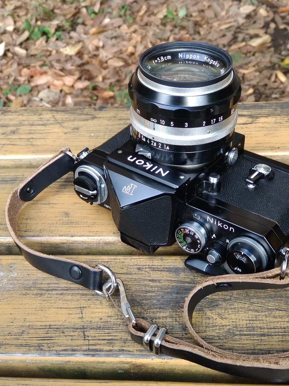 Nikon FとNikkor-S Auto 5.8cm F1.4で撮る秋。 - 今日もカメラと。