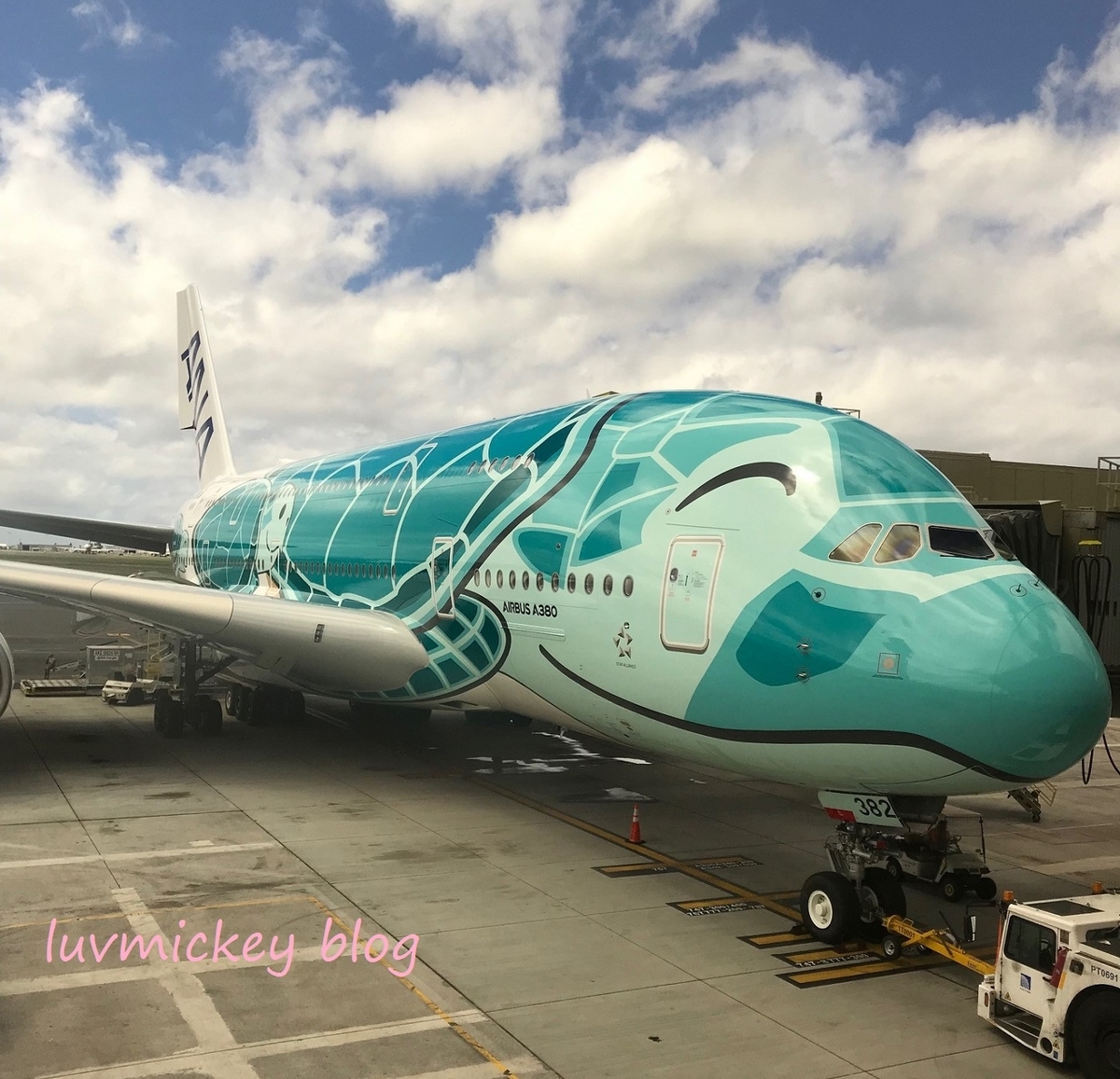 ANA フライング・ホヌ】2019年 ホノルル － 成田 NH183 A380型機