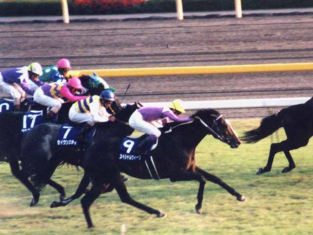 スペシャルウィーク VS セイウンスカイ - Lynyrd Youngのブログ