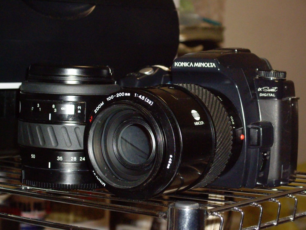 ミノルタAF100-200mmF4.5と和歌山公園動物園 - 堺風の頭部