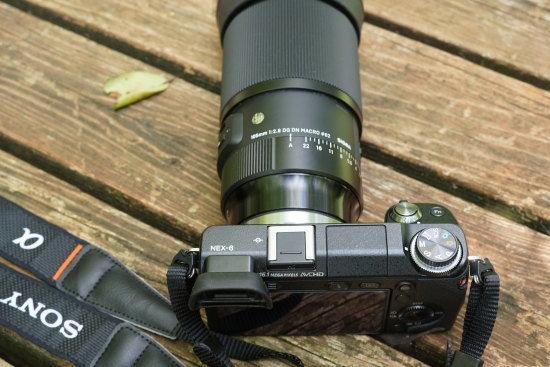 レビュー】SONY α NEX-6 ミラーレス中古～マクロ撮影〜シグマ 105mm F2