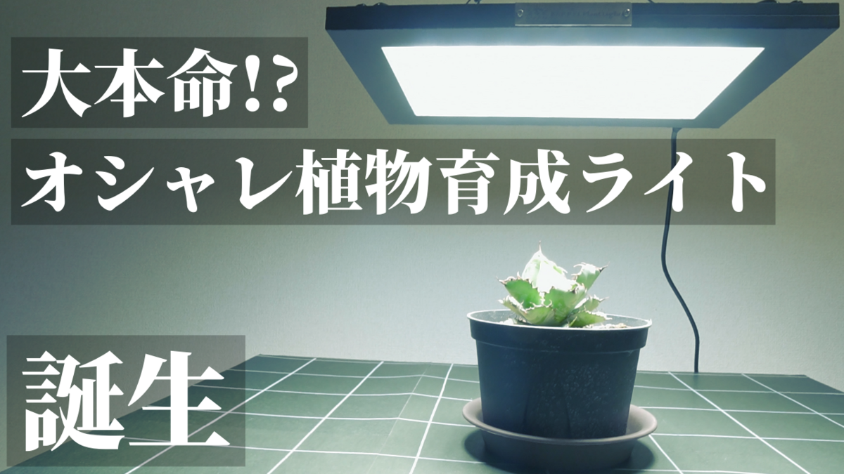 初心者にもおすすめ】大本命！？植物育成用LEDパネルライト！BARREL