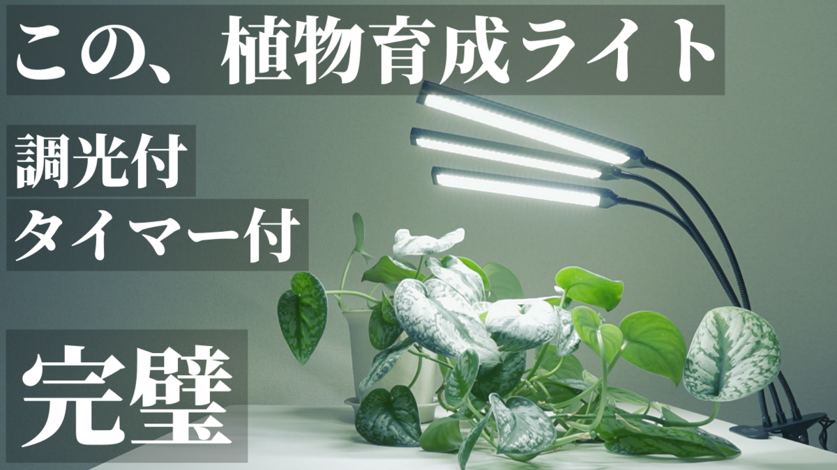 迷ったらこれ】初心者におすすめ！植物育成ライトBRIM「FLORA