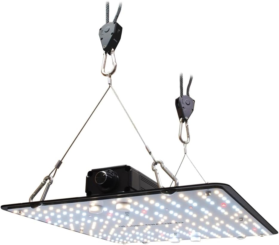 HaruDesign GL-BOARD 5400 - RxFarm