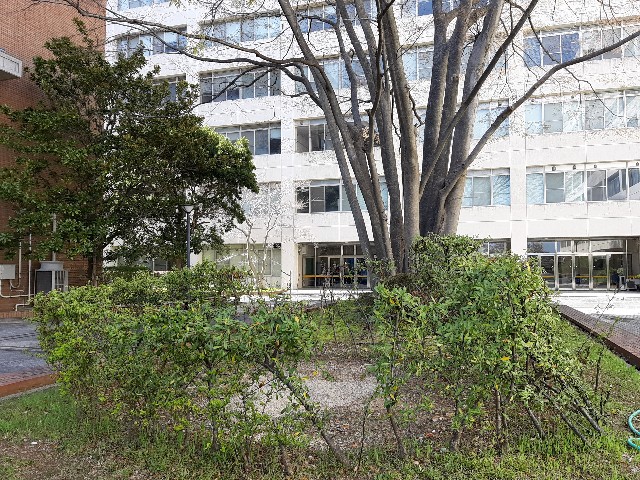 さよなら大阪大学外国語学部(旧大阪外国語大学)箕面間谷キャンパス