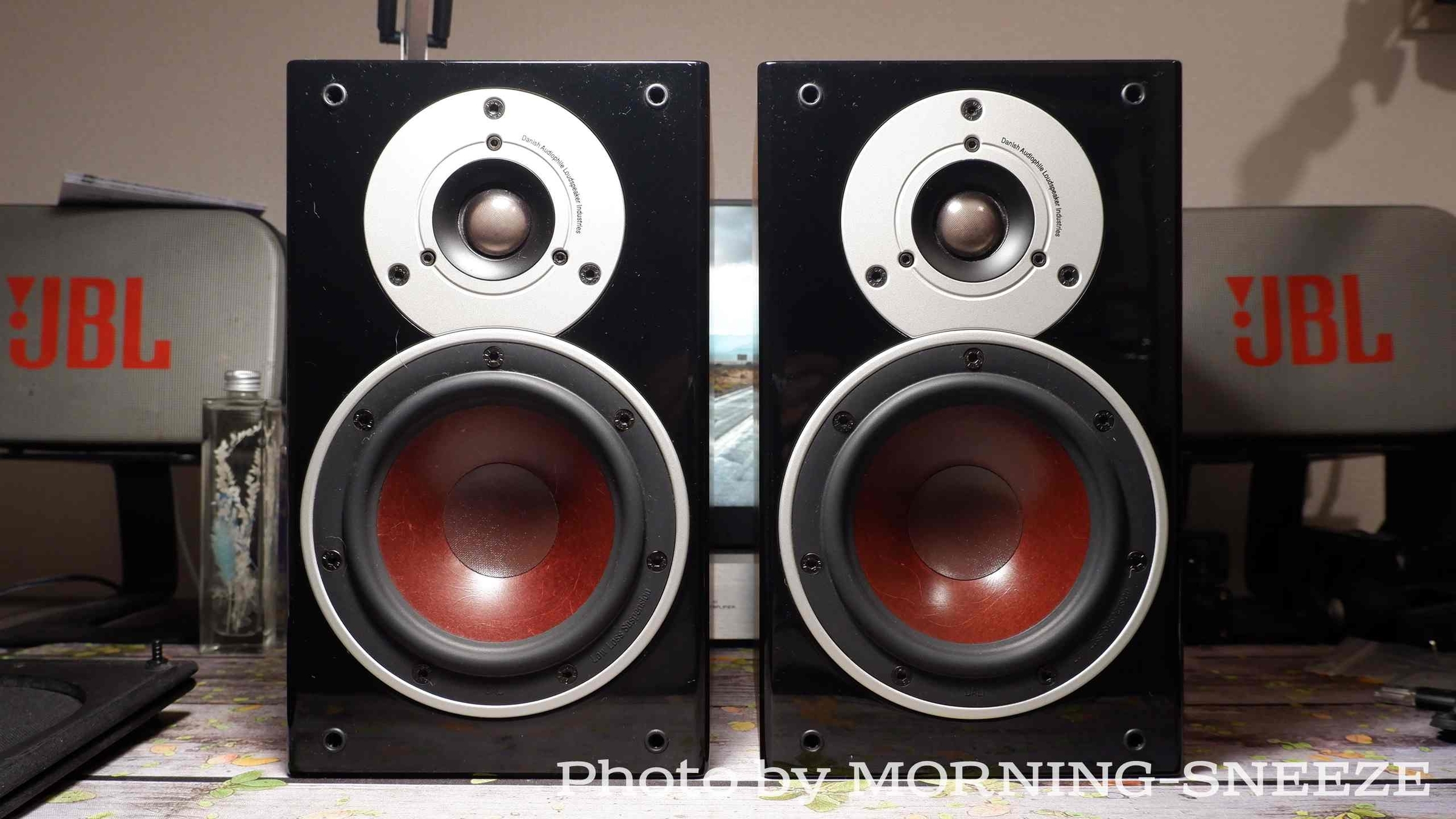 DALI ZENSOR 1 をメンテナンスする - いつか消える文章