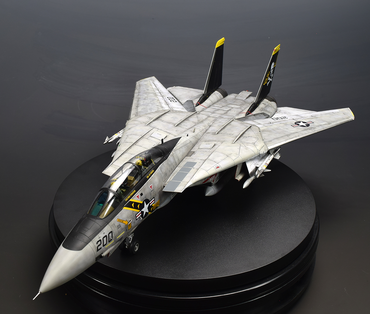 1/48 タミヤ F-14A VF-84ジョリーロジャース - プロモデラーRealModel