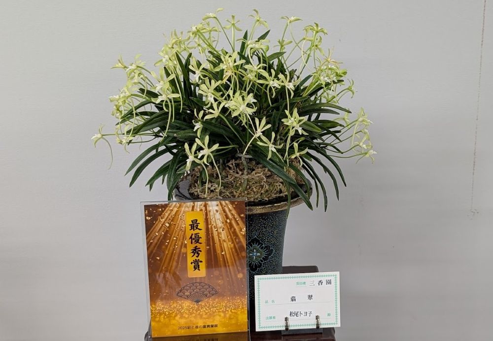 彩と香の富貴蘭展 と (=^・^=) - 猫屋の女将