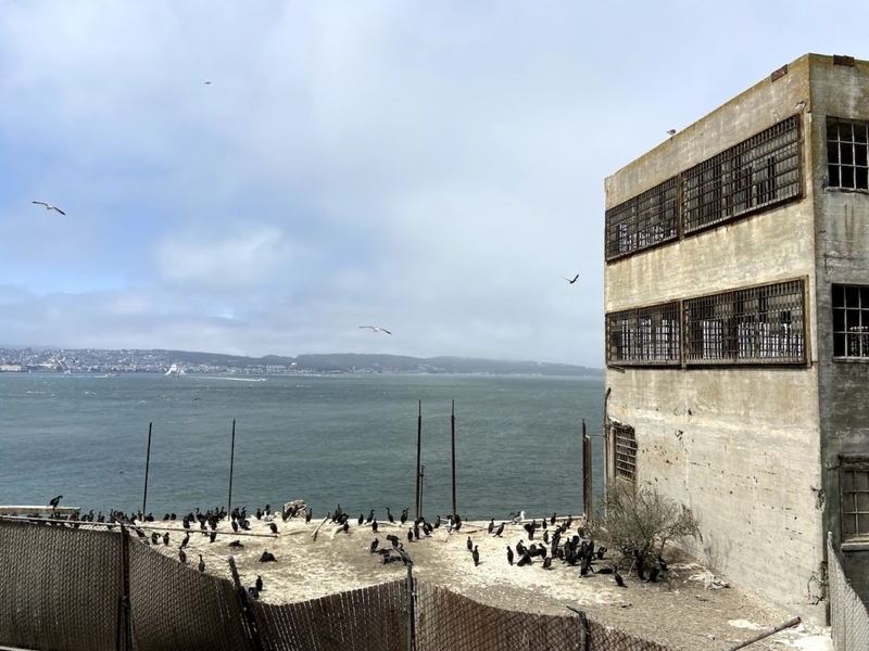 体験談】一度は訪れたい！世界で最も有名な刑務所【アルカトラズ島