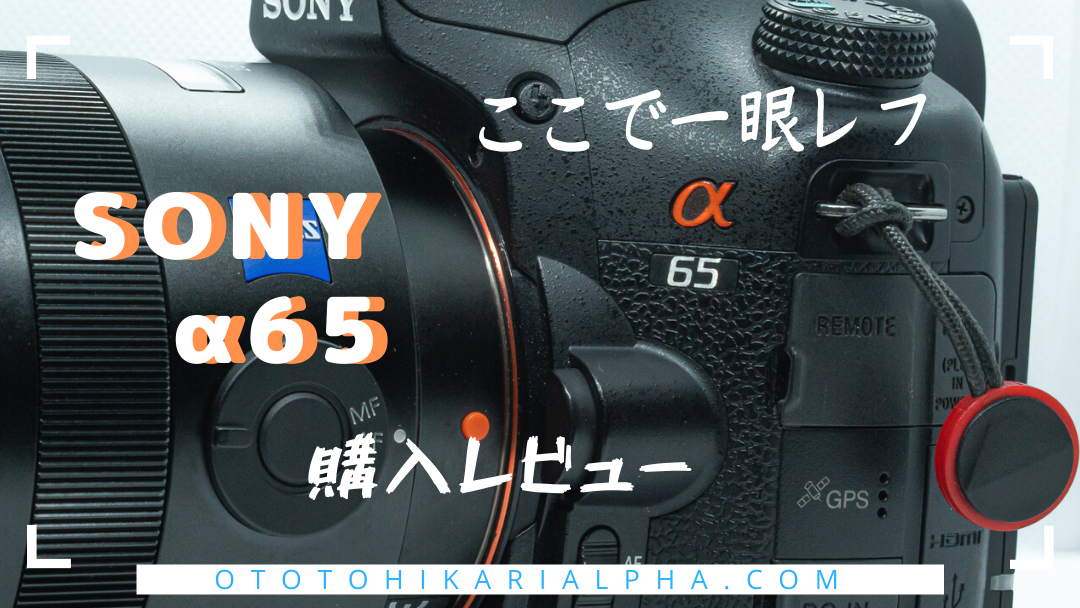 SONY α65（SLT-A65V） レビュー Aマウント一眼レフ - オトとヒカリα