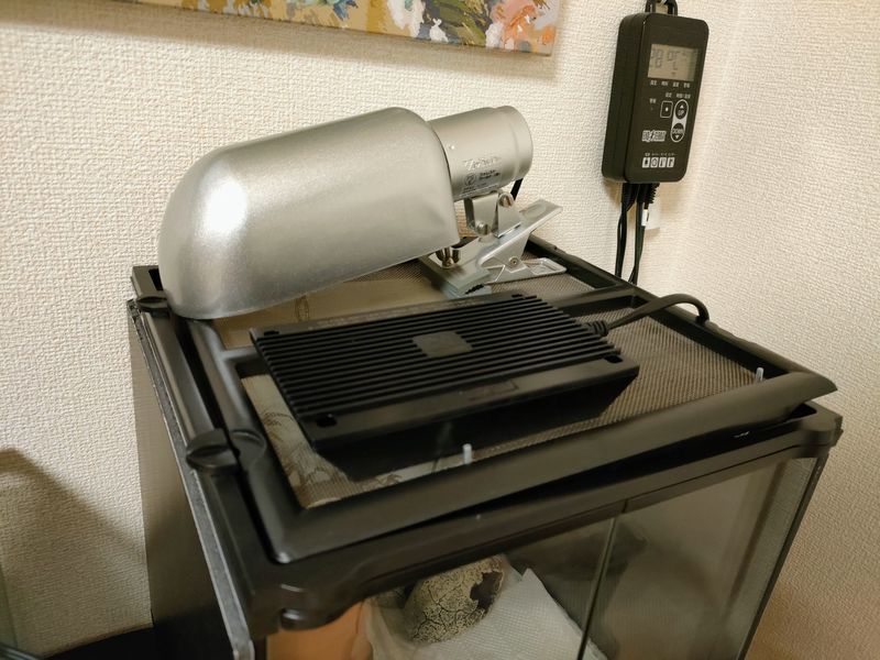 レオパにヒーティングトップを使ってみる - おじ語り