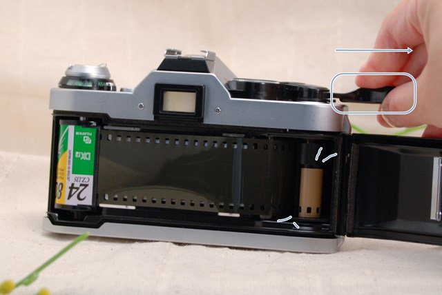 CANON AE-1 PROGRAMの使い方♪ - 〔BLOG〕パピオカメラ│フィルム