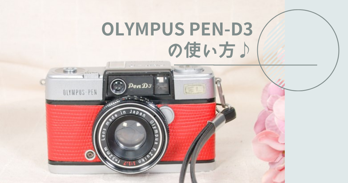 Olympus Pen D2 とD3フィルムカメラ取説付き OLYMPUS PEN D / D2 / D3