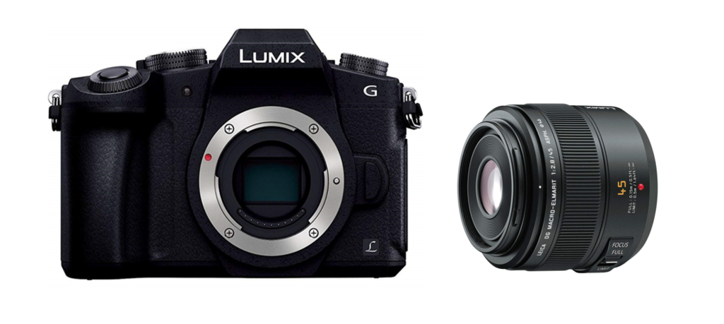 レビュー】LEICA DG MACRO-ELMARIT 45mm/F2.8 ASPH./MEGA O.I.S. H