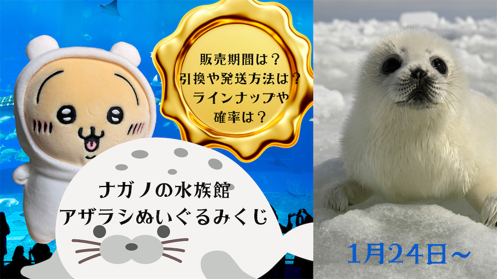 アザラシだけしか当たらない！【ナガノの水族館アザラシぬいぐるみくじ