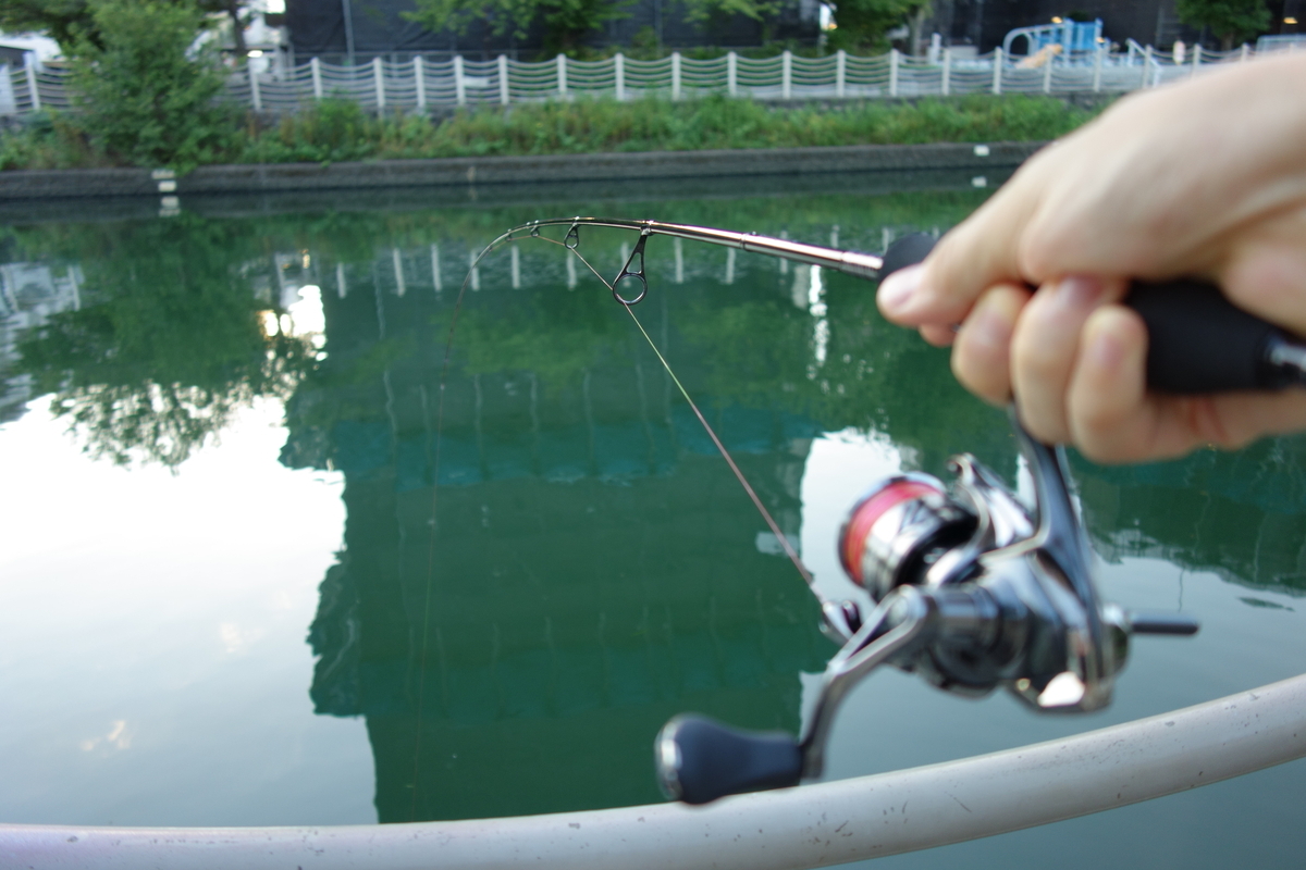 ダイワ ハートランド 冴掛レベルディレクション HL 6102LFS-AGS13