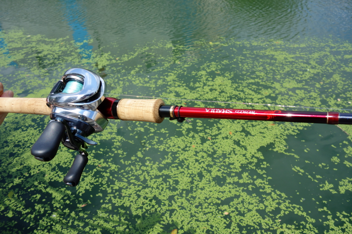 シマノ 18 ワールドシャウラ 1651FF-3 インプレ | 釣りと釣具を楽しむ