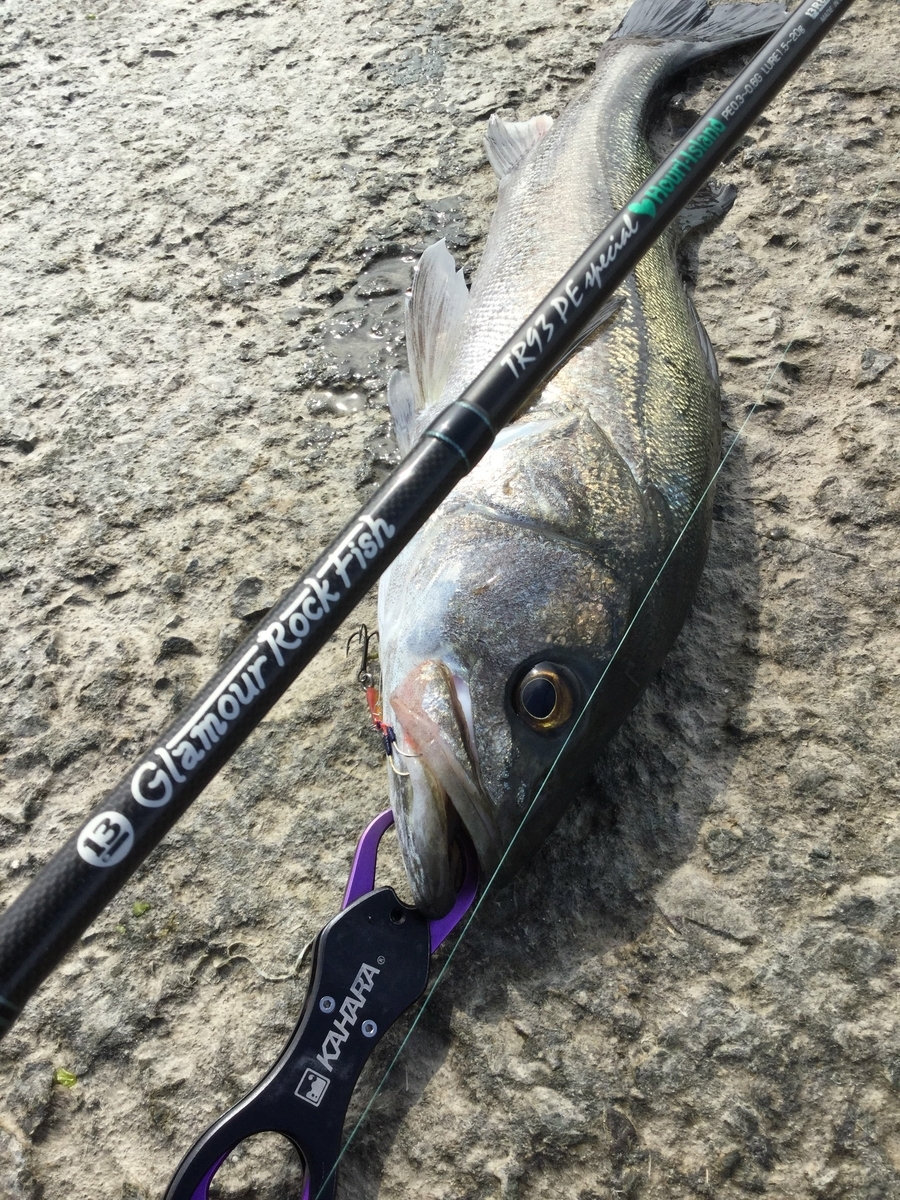 魚種限定解除の名竿インプレ【TR93PEスペシャルhouri】スーパーライト