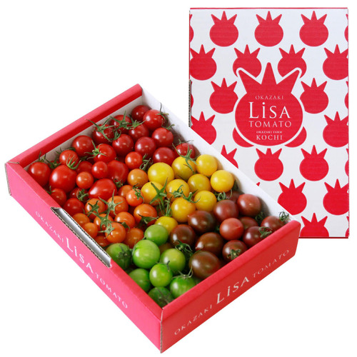 リサ・ミニトマト ご家庭用カラーミニトマト アソート 〔約1kg