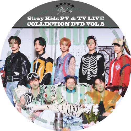 K-POP］「STRAY KIDS PV & TV LIVE COLLECTION DVD VOL.5」 // STRAY
