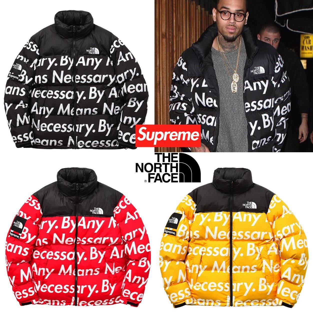 FW15 Supreme The North Face By Any Means Nuptse Jacket (Supreme