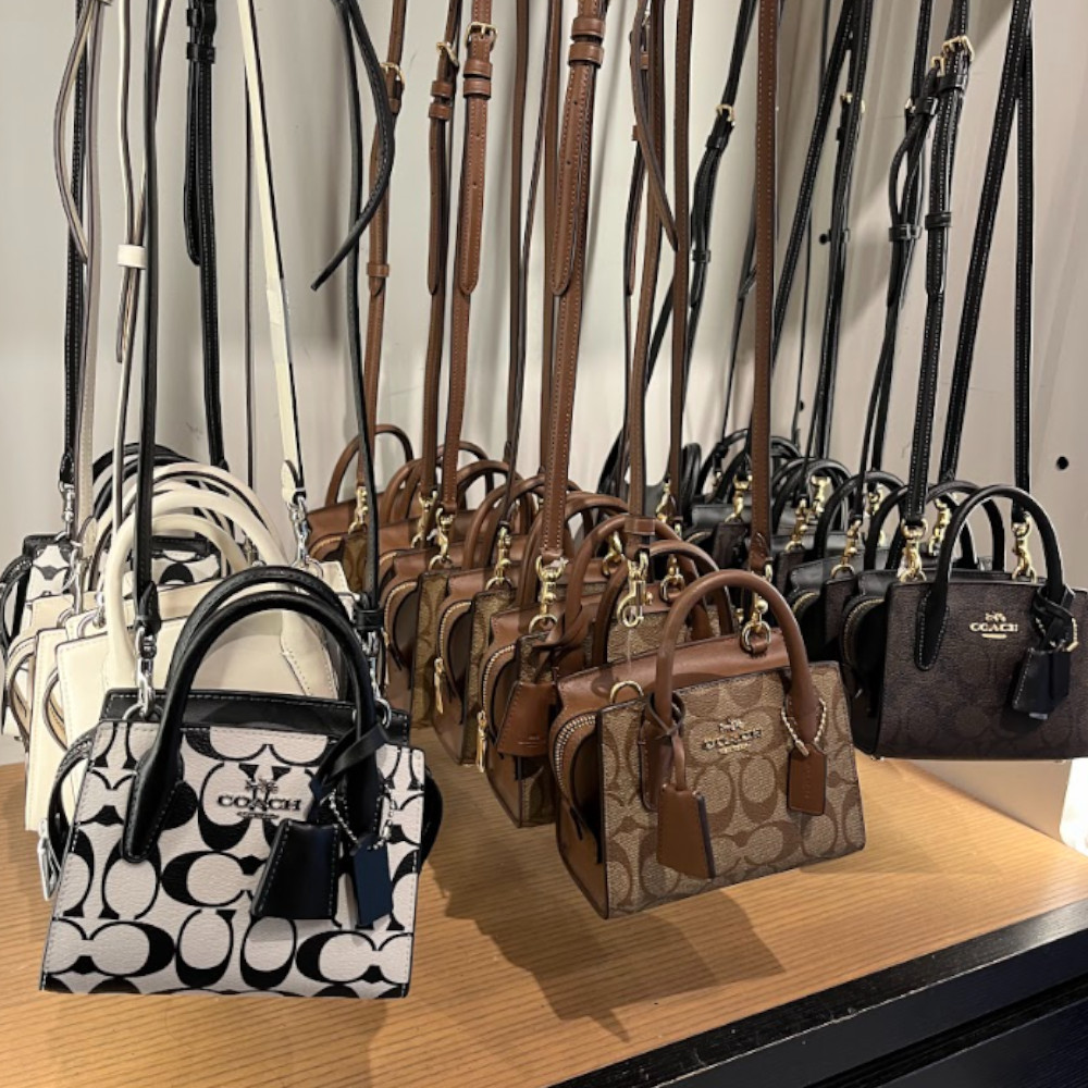 ミニサイズ【Coach】Andrea アンドレア ミニキャリーオール (Coach