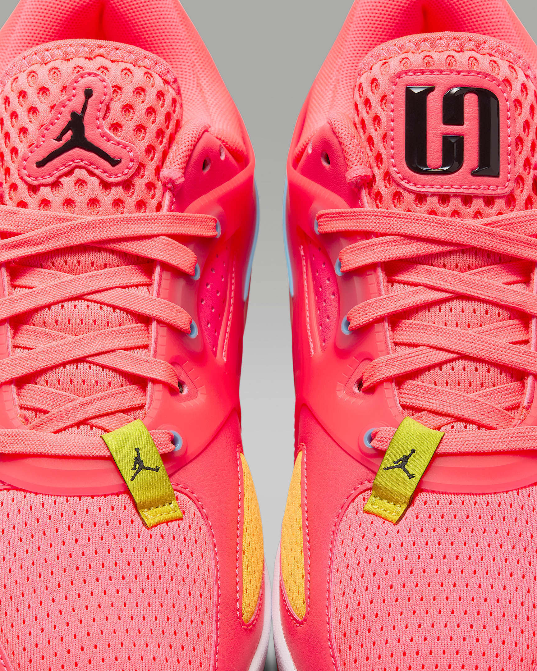 ☆NIKE☆大人気☆W JORDAN HEIR SERIES PF☆追跡可 (Nike/スニーカー