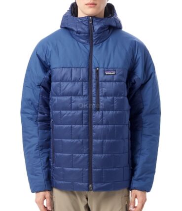 ブルー（青）系 Patagonia(パタゴニア) ダウンジャケット(メンズ