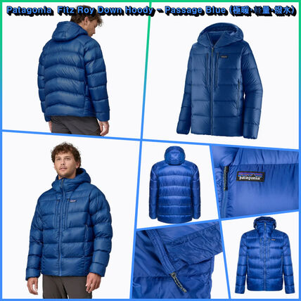 ブルー（青）系 Patagonia(パタゴニア) ダウンジャケット(メンズ