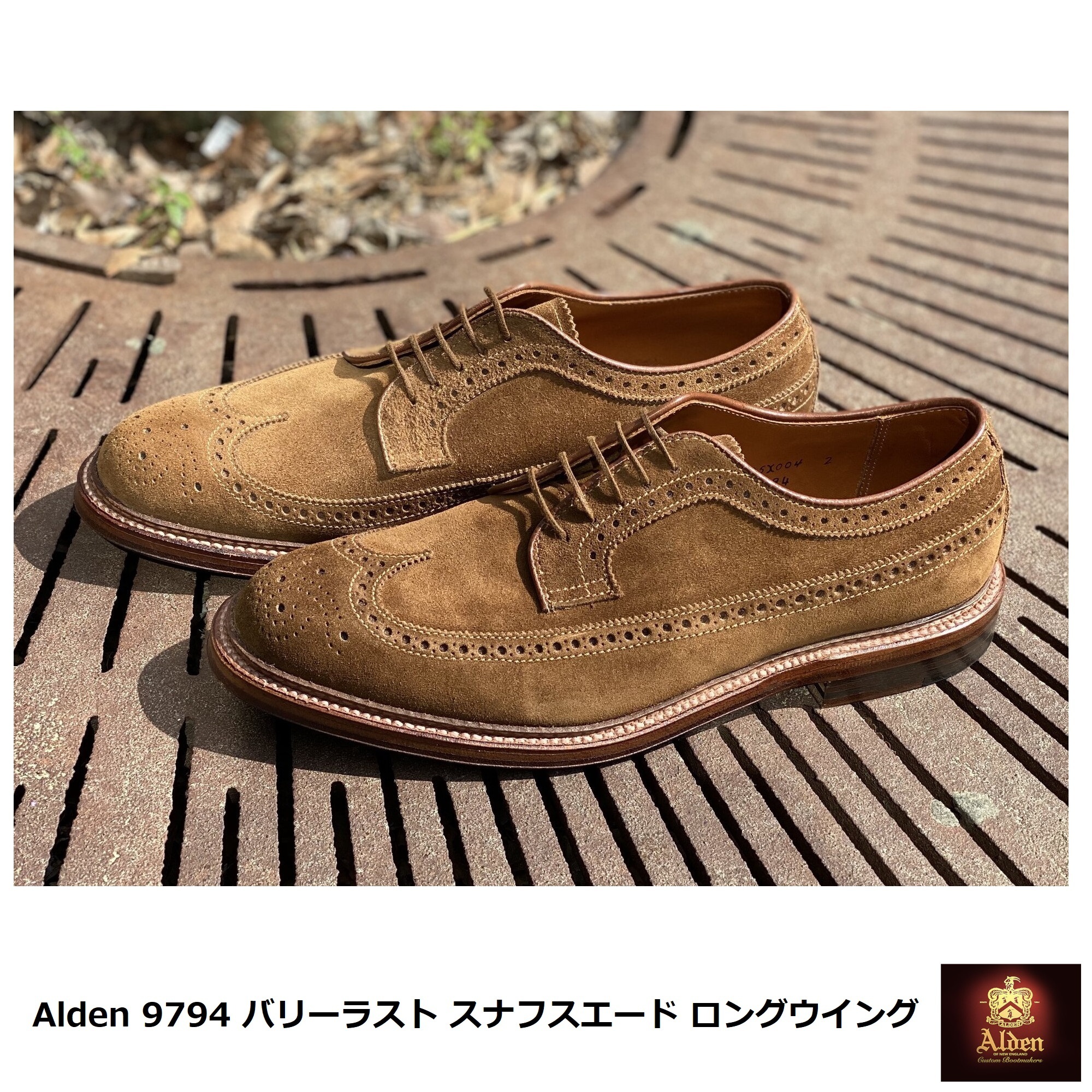 Alden] バリーラスト 9794 スナフスエード ロングウイング (ALDEN
