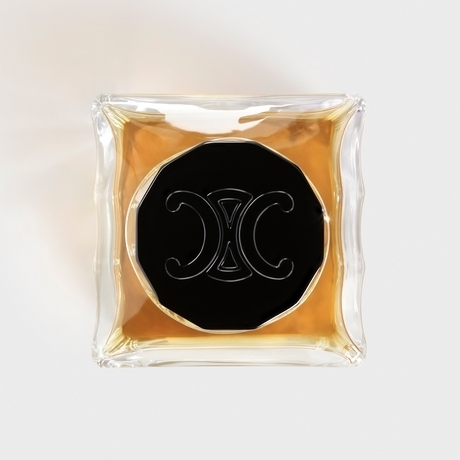 CELINE】すぐ届く セリーヌ NIGHTCLUBBING ナイトクラビング (CELINE