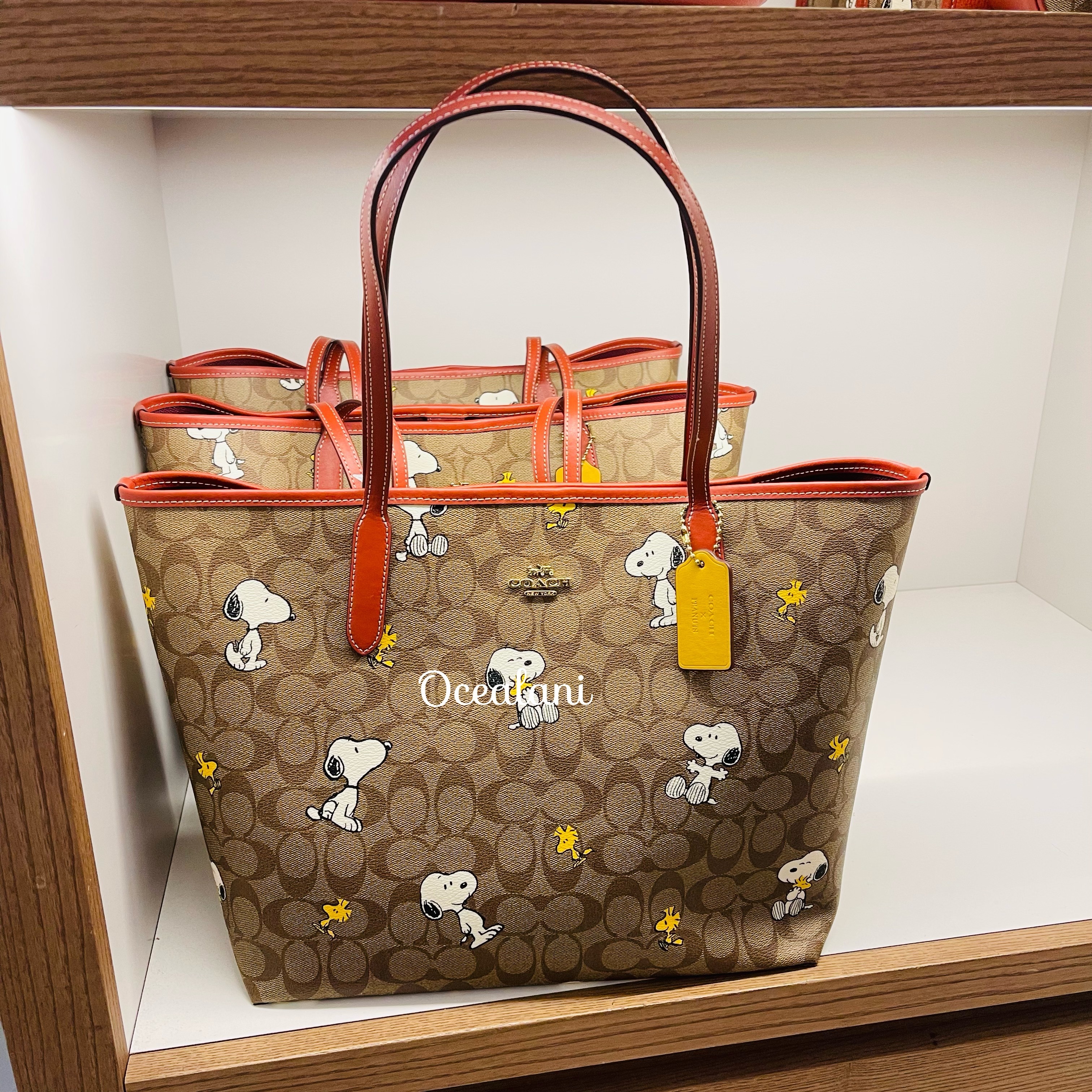 COACH] 大人気スヌーピー トートバッグ シグネチャー (Coach/トート