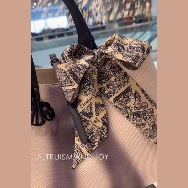 24SS☆新色登場♪】DIOR Plan de Paris ミッツァ スカーフ (Dior